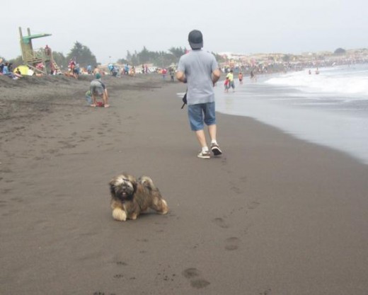 en la playita...