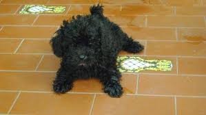 yo cuando tenia 1 mes♥♥