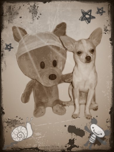 con mi gemelo pelucheee con mi gemelo pelucheee