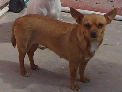 me veo tan bella jejeje me veo tan bella jejeje