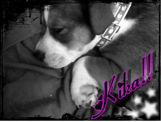 Kika durmiendo =)