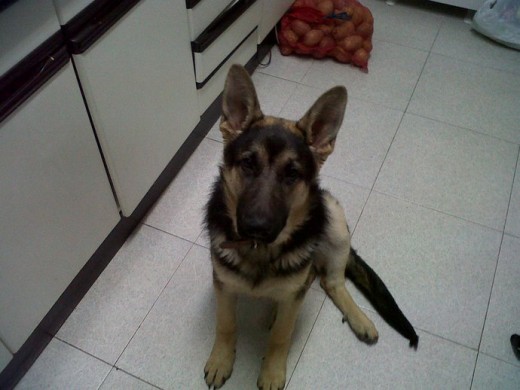 5 meses y medio