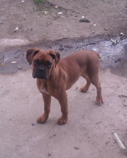 Leo con 4 meses y 3 dias