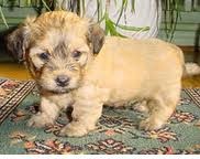 tiene 4 meses