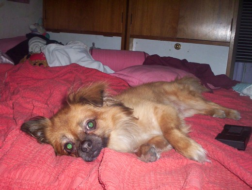 duerme conmigo duerme conmigo