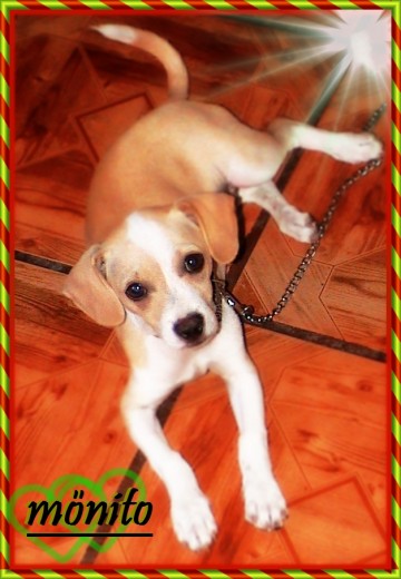 aki fue tomada en su cuarto,,, mui mono el,,, posando y toda la cosa ehehehe!!!