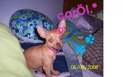 aqii estaba mas peqeñita miren qe hermosaa mi niñitaaa aqii estaba mas peqeñita miren qe hermosaa mi niñitaaa
