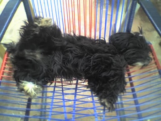 Esta dormida en la silla ....awwwww Esta dormida en la silla ....awwwww