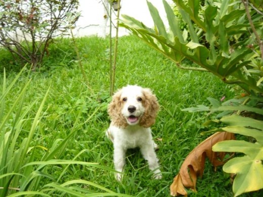 Jugando en el Jardin, con 3 meses :D