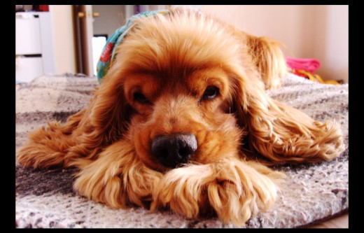mi vida.. el mas tierno! mi vida.. el mas tierno!