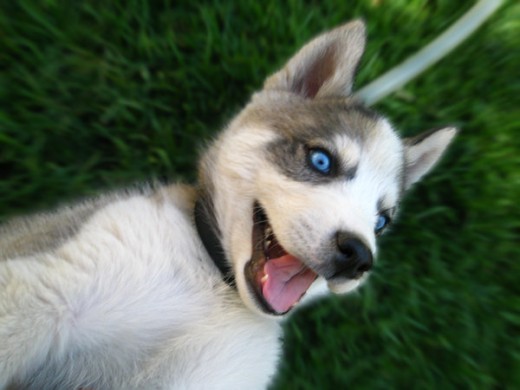 Mi peque jugando.