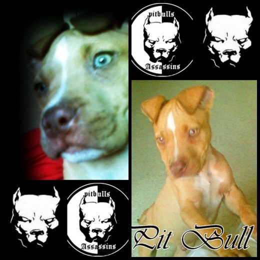 UN COLLAGE DE MI COOPER