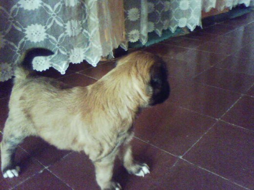 lastima quedo mirando para otro lado