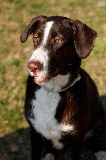 QUE COSITA MÁÁÁS GUAPAA!