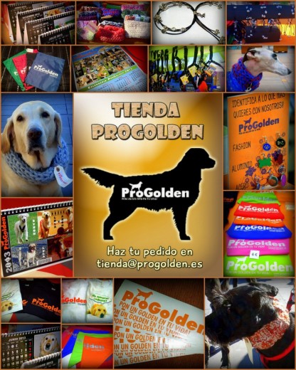 tienda@progolden.es