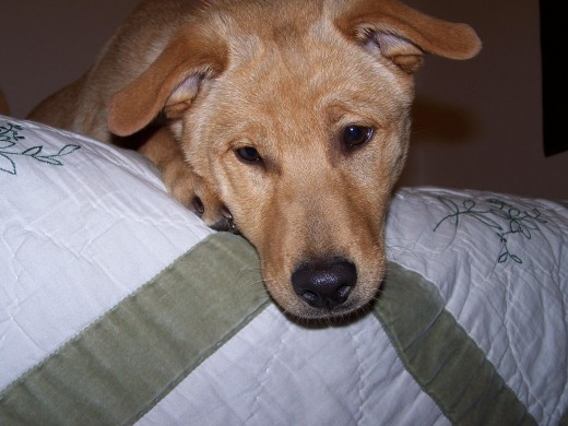 Hola estoy feliz por publicar mis fotos en esta pagina, saludos a todos