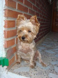 esta foto esta echa en veranito, le acababan de cortar el pelo! esta guapisima!