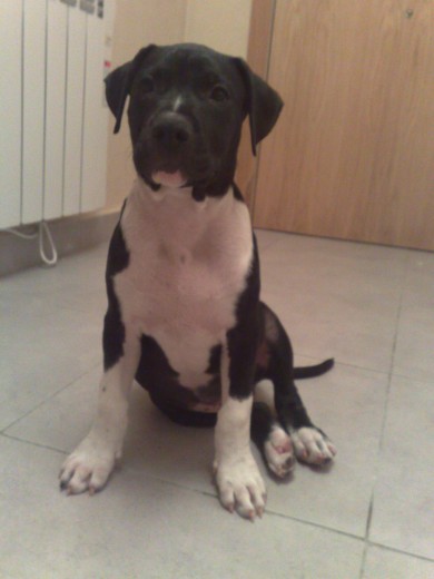 fue tomada hace dos meses fue tomada hace dos meses