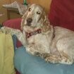 el amor de mi vidaaa wapaaaa el amor de mi vidaaa wapaaaa