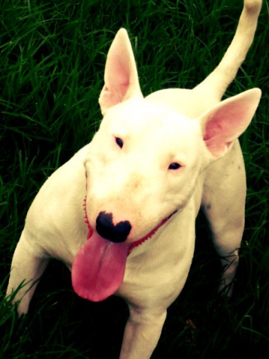 esta es una foto de zeus esta es una foto de zeus