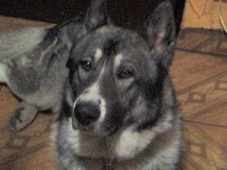 MI BB, ATENTISIMO A LA FOTO.... MI BB, ATENTISIMO A LA FOTO....