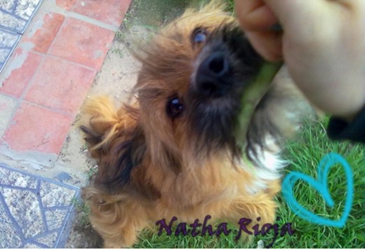 mi gordito jugando <3 mi gordito jugando <3