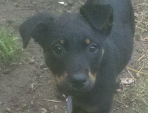 Bebota hermosa!