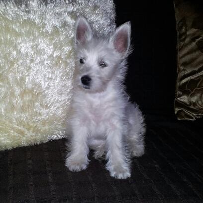 mi gorda con 2 meses y medio preciosa