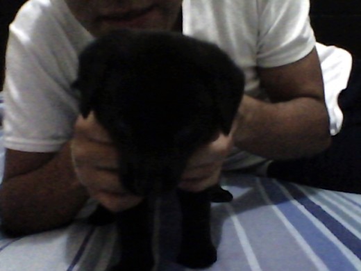 Mi primer dia en casita... Mi primer dia en casita...