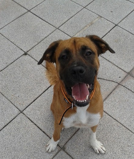 De paseo!! De paseo!!