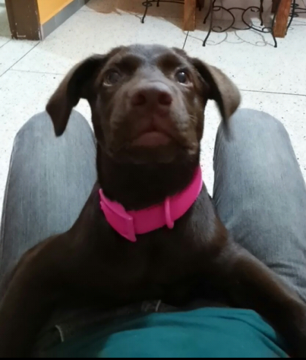Xochi Xochi