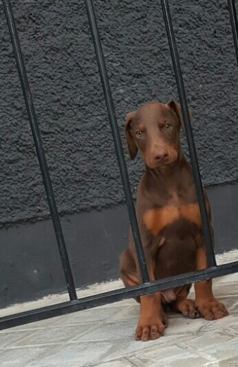 Geo con un mes y 18 dias Geo con un mes y 18 dias