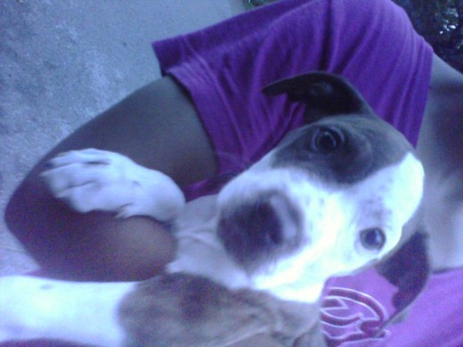 con 3meses con 3meses