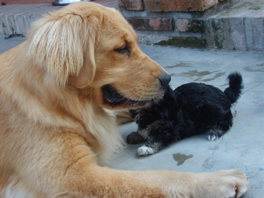 Aqui Michelle conociendo a su hermanita menor Lulu