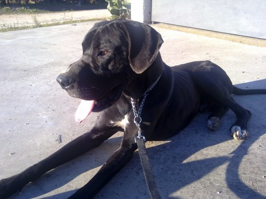 sauron al sol sauron al sol