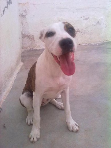 5 meses 5 meses