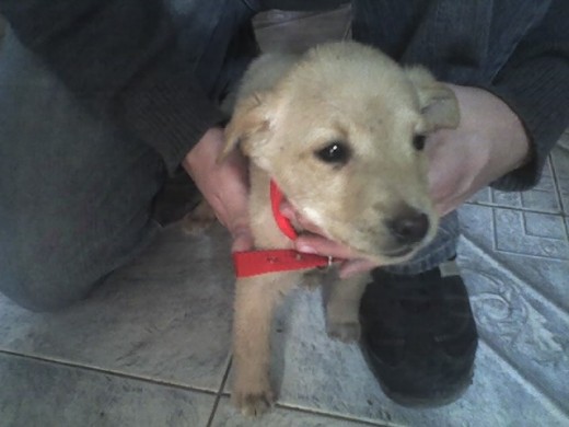 No es bello? No es bello?