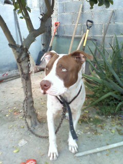 con 7 meses con 7 meses