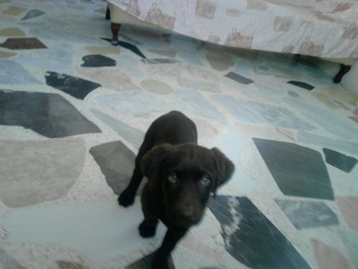 soy hermosa!! soy hermosa!!