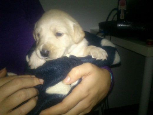 nalita con 24 dias nalita con 24 dias