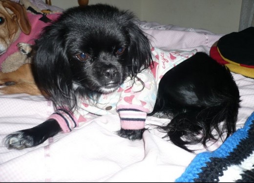 Ella con su ropita de invierno :D Ella con su ropita de invierno :D