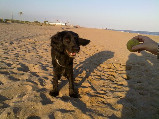 Mi negrito en la playaa!