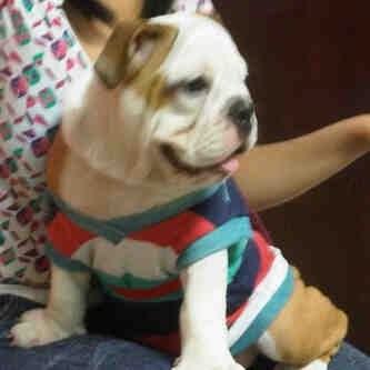 Hermosaaa Hermosaaa