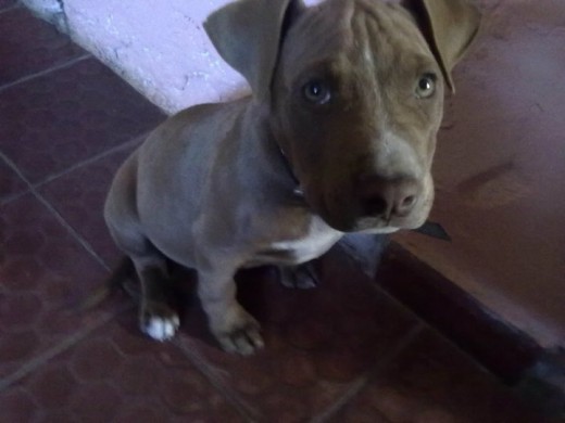 ty♥ ty♥