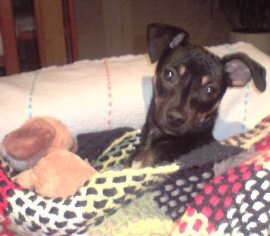 EN LA CAMITA CON SU MUÑEKITO Y LA MANTITA JAJAJA EN LA CAMITA CON SU MUÑEKITO Y LA MANTITA JAJAJA