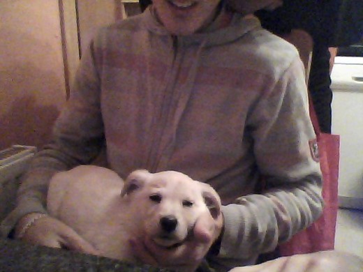 Es blanca i legusta mucho correr con su hermana Crispin!!!!