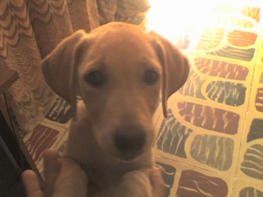 tan solo con 3 mese :D tan solo con 3 mese :D