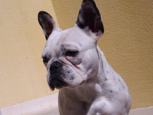 Mi Isis, a que es guapa?