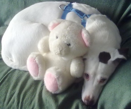 Kira con su osito blanco Kira con su osito blanco