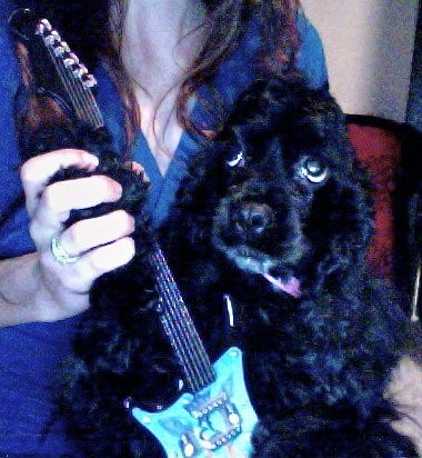 Mi perrita tocando la guitarra jeje Mi perrita tocando la guitarra jeje